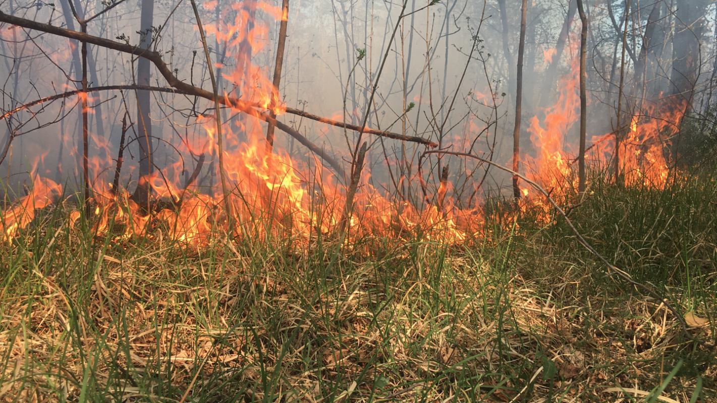 Suša i vjetar pogoduju širenju požara otvorenog prostora