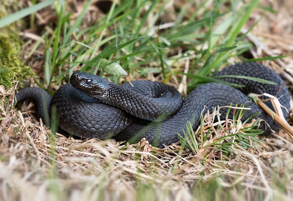 Opatijski vatrogasci svima i svakom na pomoć