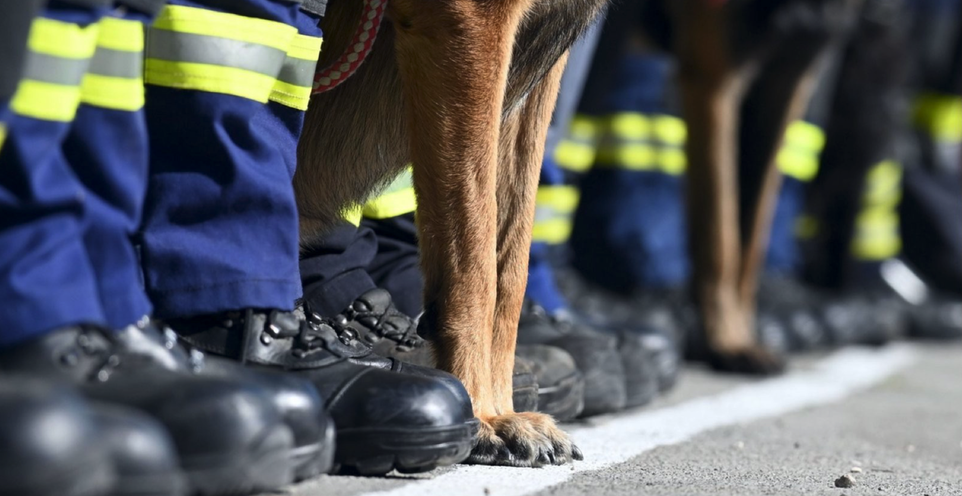 Šapjane postale Centar za obuku vatrogasnih K-9 timova